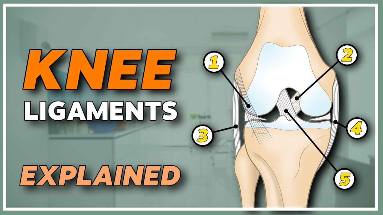 Best knee ligament surgeon in seoni