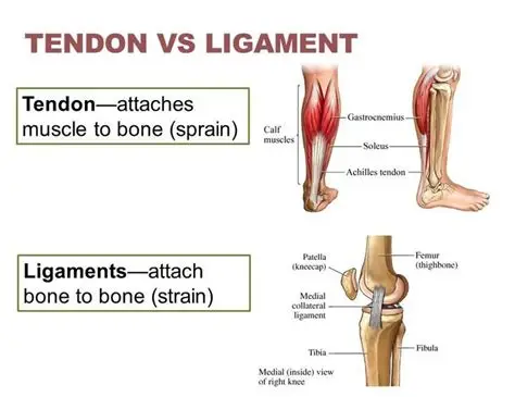 Ligament and tendon repair in nagpur