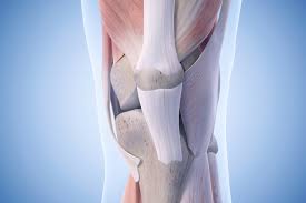Best Knee Ligament Surgeon In Narsinghpur